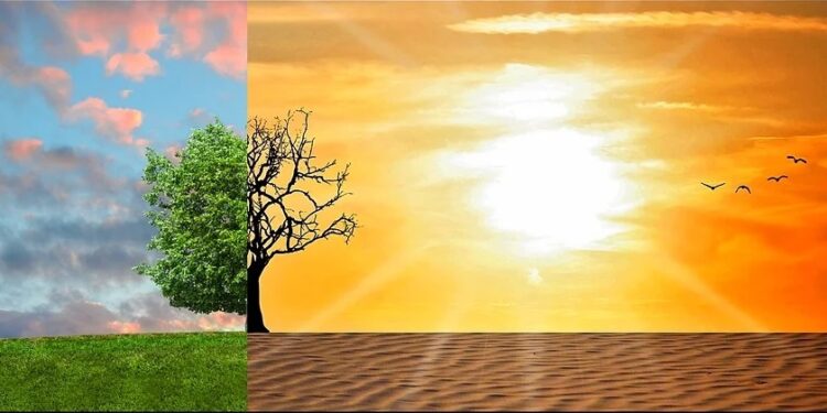 Klimatické dezinformace na webu Českého rozhlasu